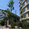 2007年　東京都　マンション外構・造園