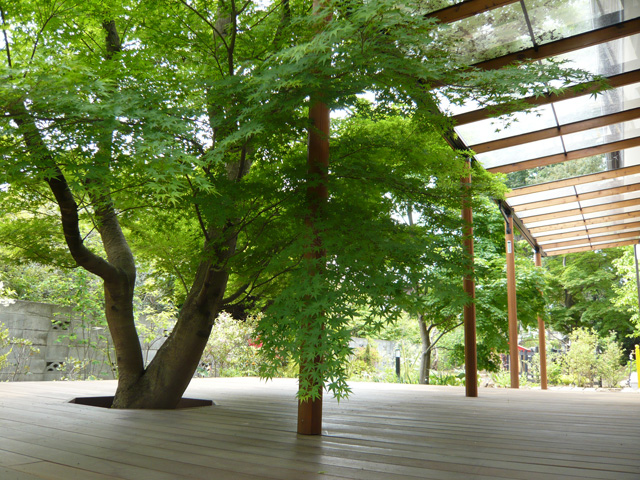2008年　東京都　保育園
