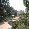 2010年　東京都杉並区　Aさんの庭