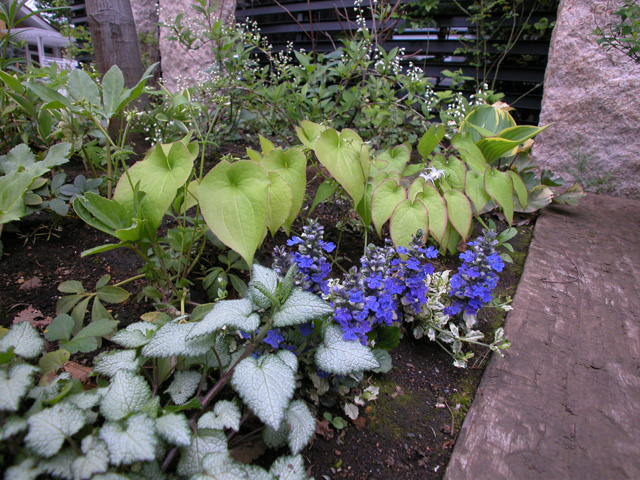 足元の植栽例。
