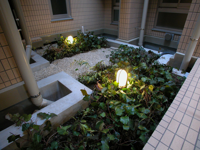 最も暗く雨があたらない場所には、丈夫なヘデラと明るい色の砂利敷き。