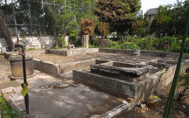 工事前の旧住宅跡、布基礎や左手の井戸を再利用してできるだけ住宅の面影も残す方針とした。