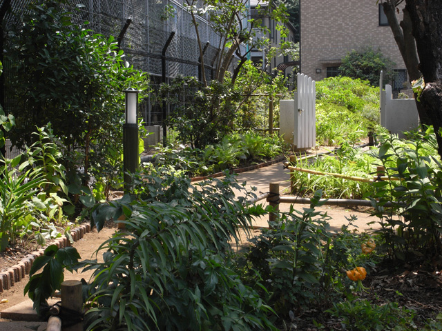 庭園南側に位置する入口の門扉と木質系のソフトな園路。植物も伸び伸びと育ち始めている。 左手の植栽地と園路の見切りには旧住宅の屋根を彩っていた素焼きの瓦を再利用している。